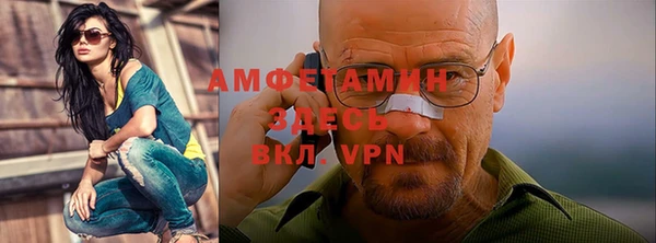 шишки Наволоки