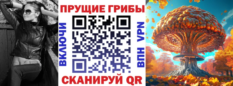 наркошоп  Курчалой  MEGA ССЫЛКА  Галлюциногенные грибы Psilocybe 