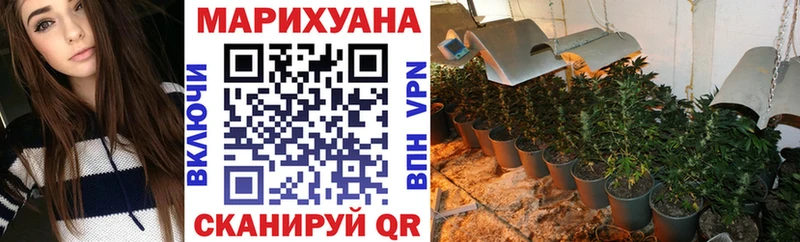 Марихуана LSD WEED  Курчалой 